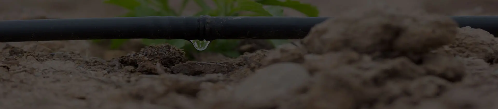 Damlama Sulama Sistemleri
