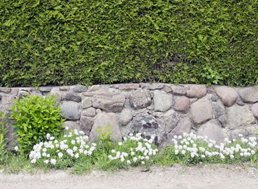 Bahçe Duvarı