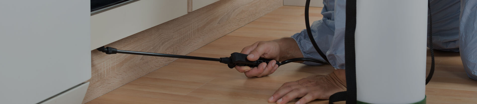 Böcek ve Haşere İlaçlama