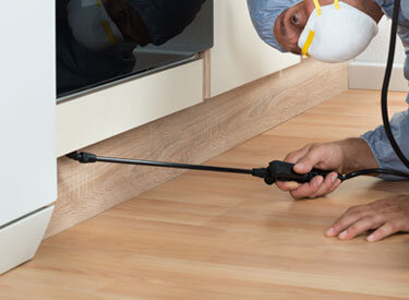 Böcek ve Haşere İlaçlama